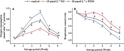 Nitric oxide promotes energy metabolism and protects mitochondrial DNA in peaches during cold storage